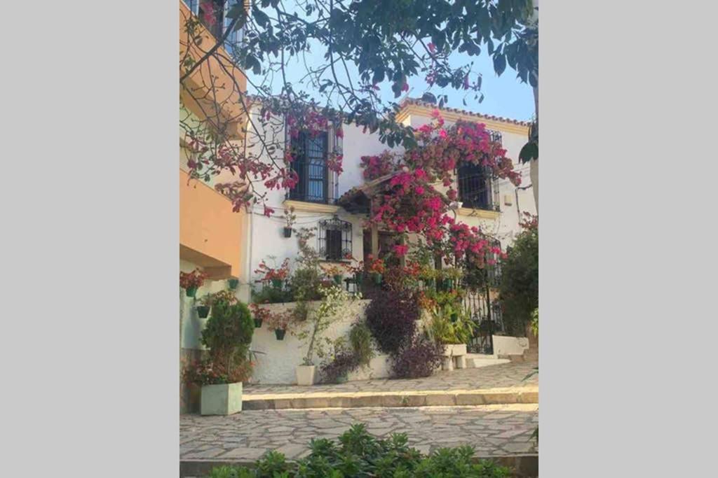 Appartement Palmeras Puerto Paraiso Estepona Ngoại thất bức ảnh
