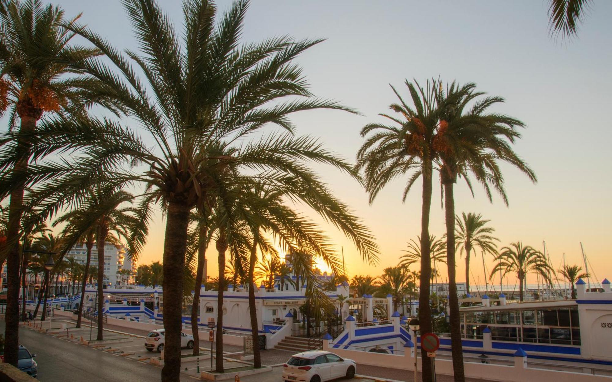 Appartement Palmeras Puerto Paraiso Estepona Ngoại thất bức ảnh